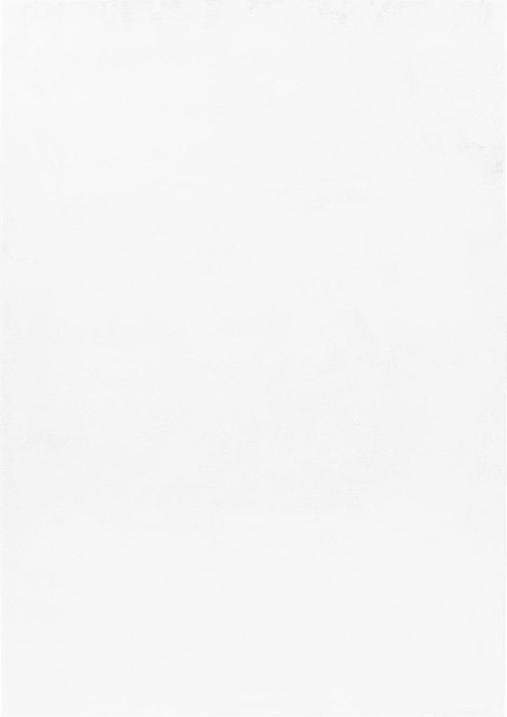 Teppium Flauschiger Hochflor Teppich Einfarbig - Kunstfell Look, Plüschig & Superweich für Wohnzimmer, Grösse: 200x290 cm