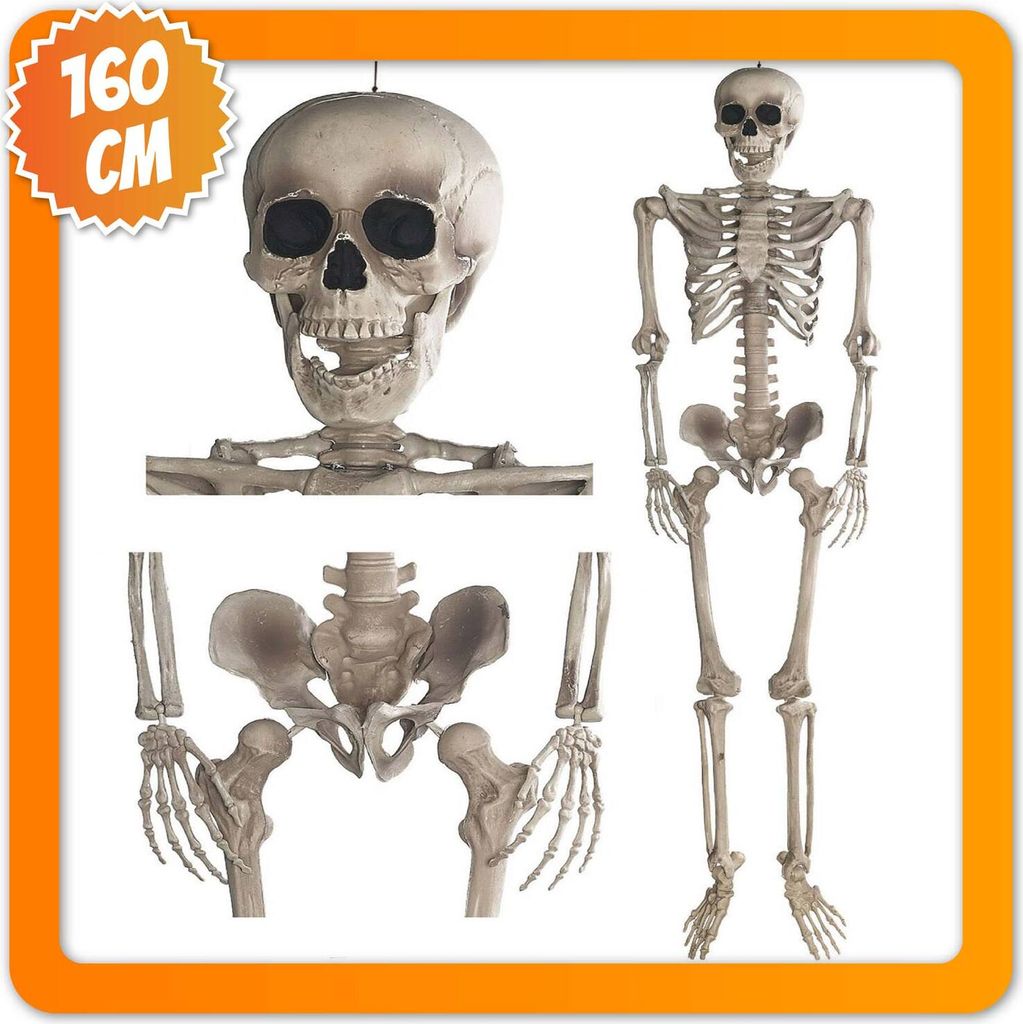 Dekoratívny kostlivec 160 cm na Halloween Obrázok produktu 