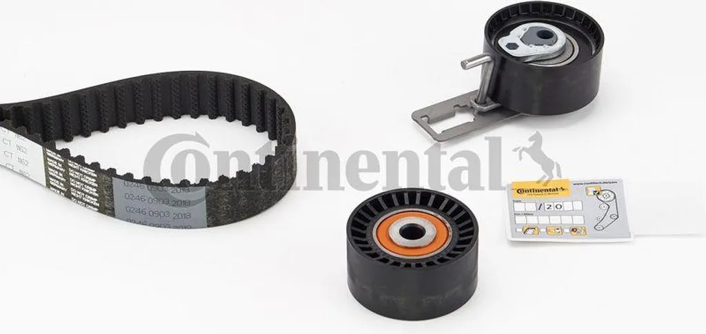 Kit Distribution Complet Continental pour Transit Tourneo et Mondeo