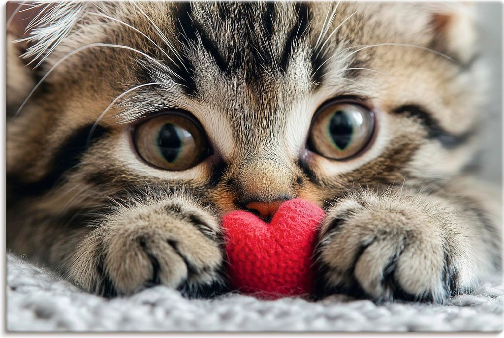 ARTland Leinwandbild Samtpfote Größe: 90x60 cm