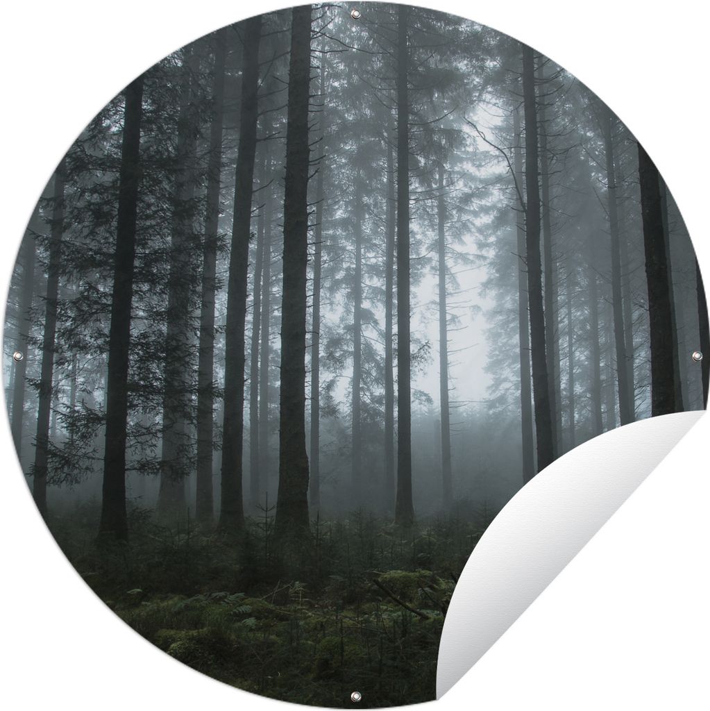 MuchoWow Gartenposter Outdoor-Poster Rund Wald - Licht - Nebel Ø 150 cm Gartendeko Rundes Poster draußen