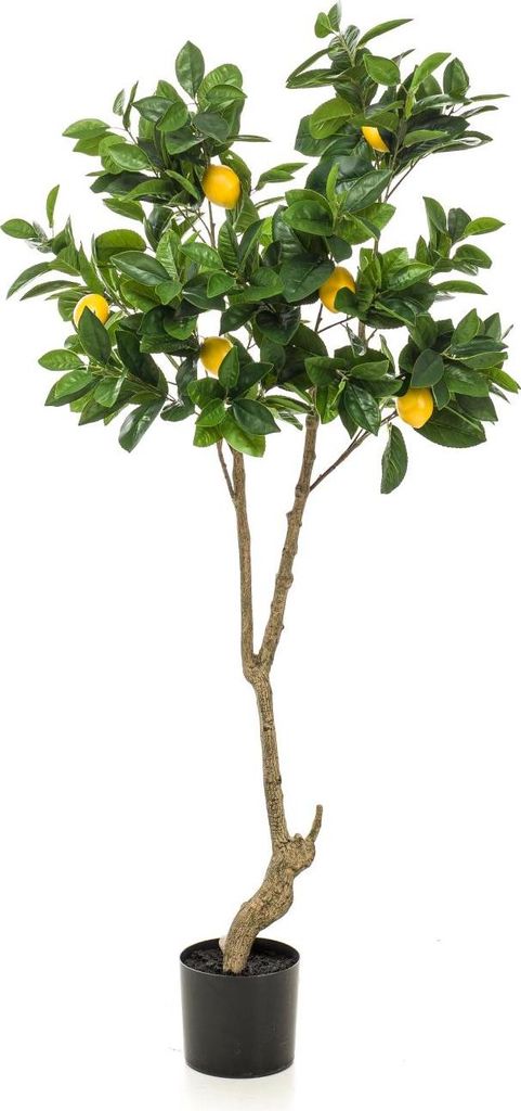 artplants.de Kunst Zitronenbaum Makoto, Kunststamm, mit Früchten, 150cm - Kunststoff Baum