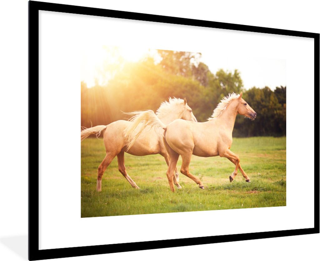MuchoWow Gerahmtes Poster Pferde - Gras - Sonne 90x60 cm - Poster mit Schwarzem Bilderrahmen Wandposter Rahmen Foto Bilder - Wanddekoration - Fotos