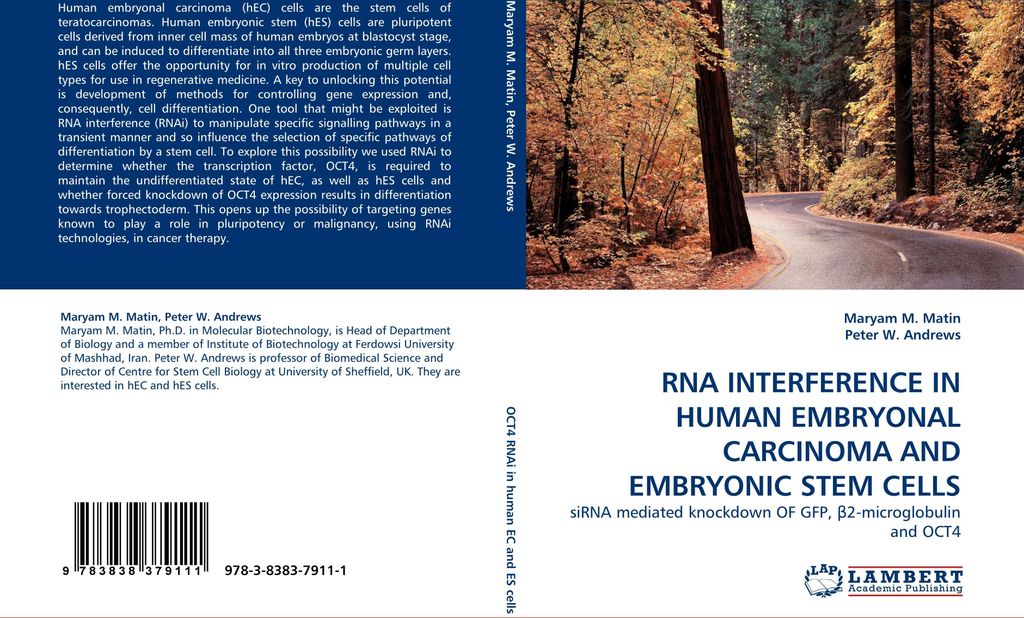 Rna Interference In Human Embryonal Carcinoma And Embryonic Stem Cells