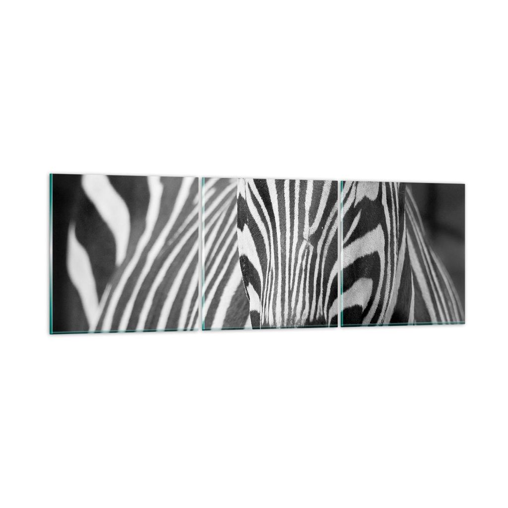 Bilder auf glas - Tiere Zebra gestreift - 150x50cm - Glasbilder - Wandbilder - Kunstdruck - zum Aufhängen bereit - Wanddekoration aus Glas - Glas ...