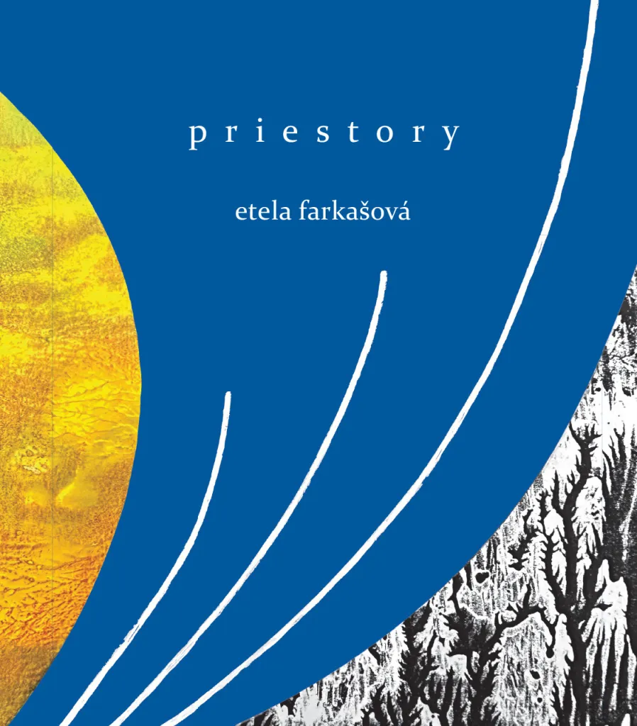 Roman Priestory Etela Farkašová livre de réflexion identité