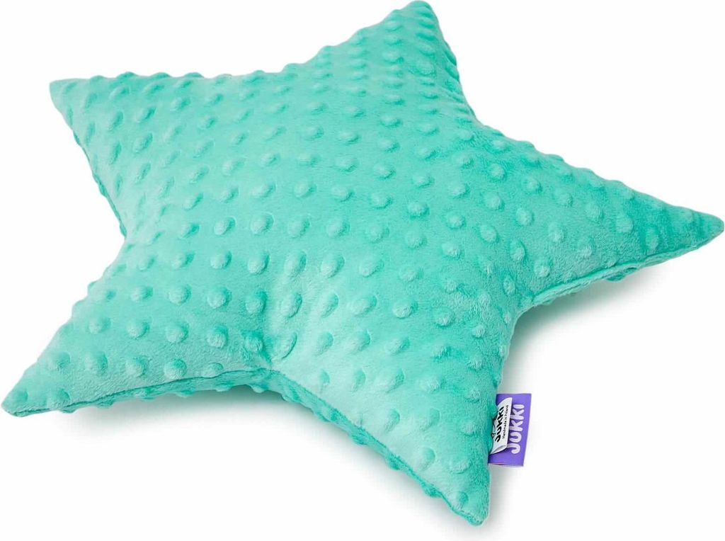 Mint Minky Sternkissen