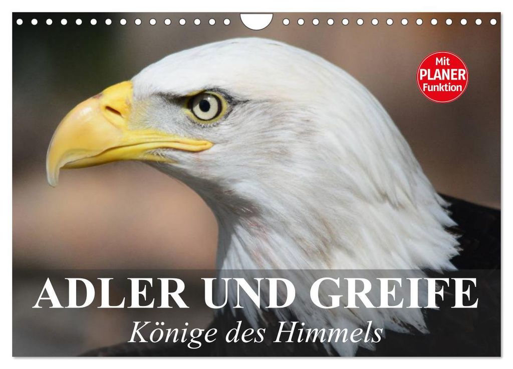 Adler und Greife. Könige des Himmels (Wandkalender 2027 DIN A4 quer), CALVENDO Monatskalender