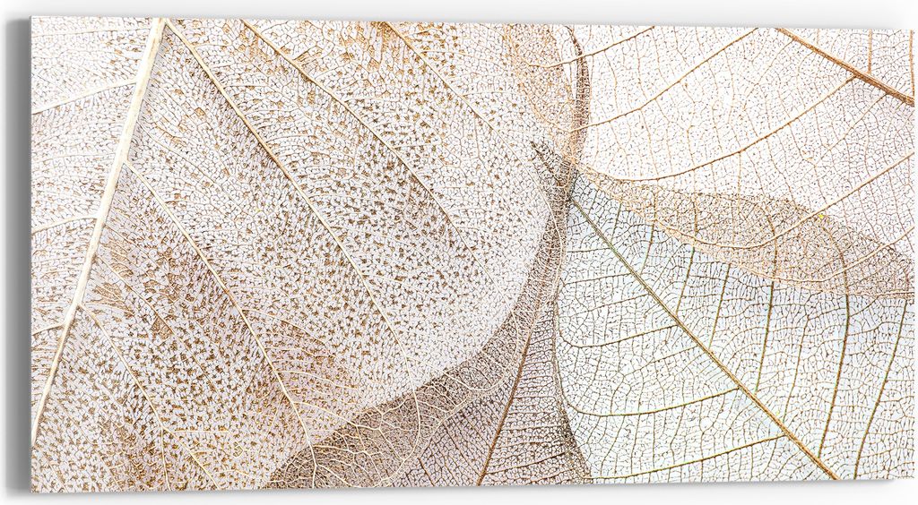 DEQORI Glasbild Echtglas 60x30 cm 'Zarte Blattstrukturen' Wandbild Bild modern Deko