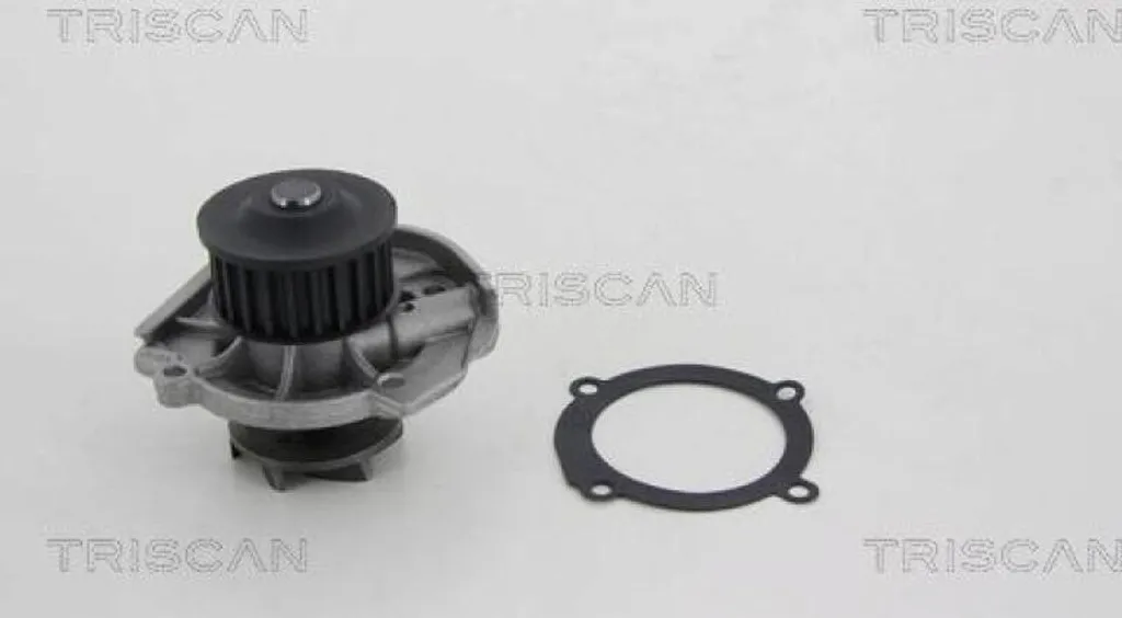 Pompe à eau pour entretien moteur TRISCAN 8600 15036 - Fiabilité 12V