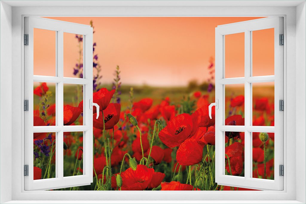 Wallario Wandbild aus Acryl, 60 x 90 cm, freischwebende Optik - Mohnblumen auf dem Feld mit Fenster-Illusion