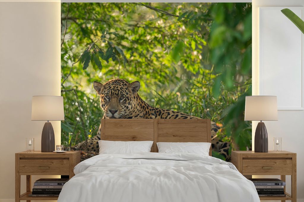 MuchoWow Fototapete für Wohnzimmer oder Schlafzimmer Wandtapete Vinyl Motivtapete Jaguar im Dschungel - 300x300 cm - Wanddekoration