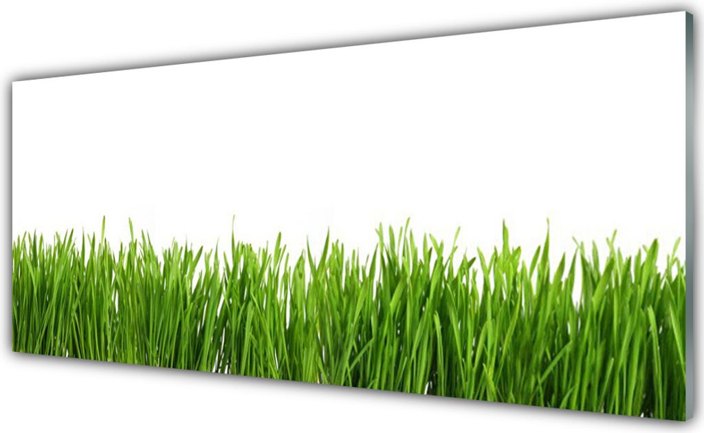 Küchenrückwand aus Glas 125x50cm Spritzschutz Gras Natur