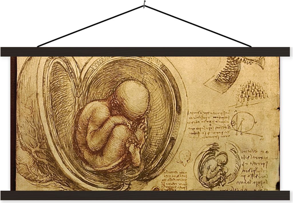 MuchoWow Textilposter Baby im Mutterleib - Leonardo da Vinci 60x30 cm mit schwarzem Rahmen - Textilien