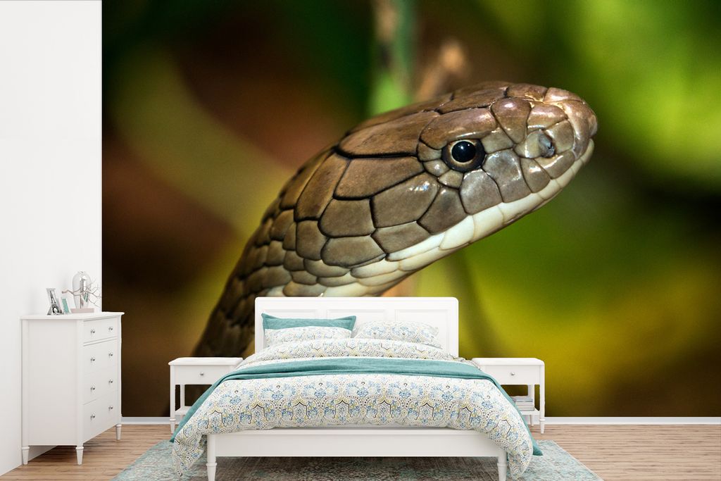 MuchoWow Fototapete für Wohnzimmer oder Schlafzimmer Wandtapete Vinyl Motivtapete Kobraschlange in einer grünen Umgebung - 420x280 cm - Zimmer ...