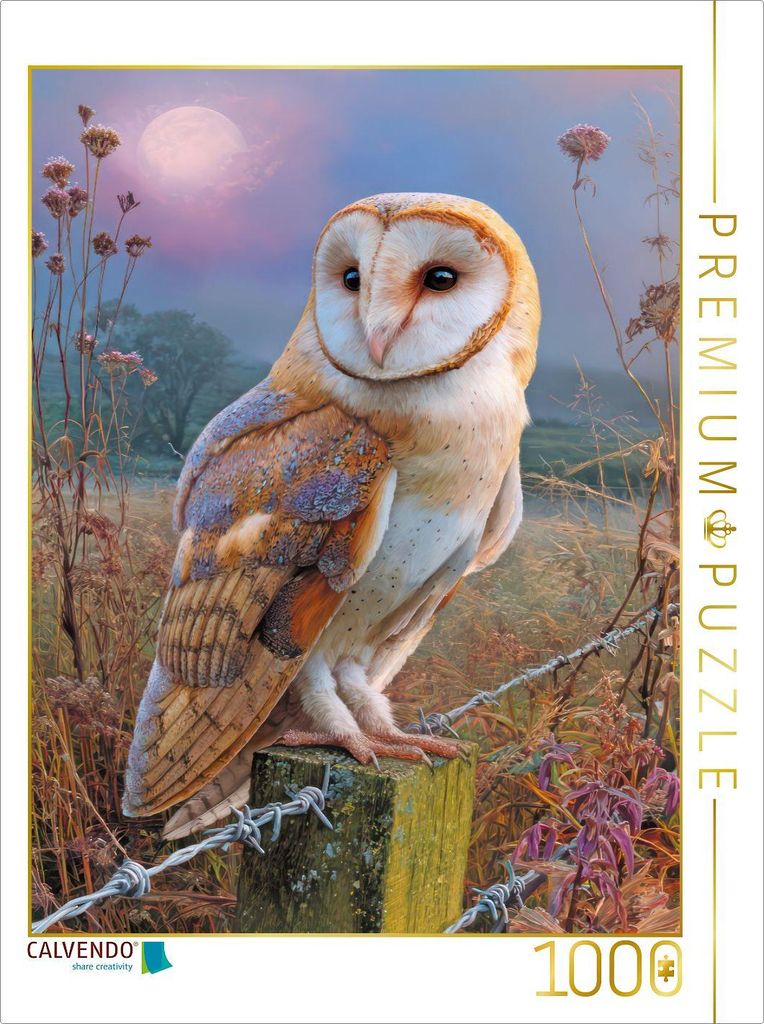 CALVENDO Puzzle Greifvögel | 1000 Teile Lege-Größe 64x48cm Foto-Puzzle für glückliche Stunden