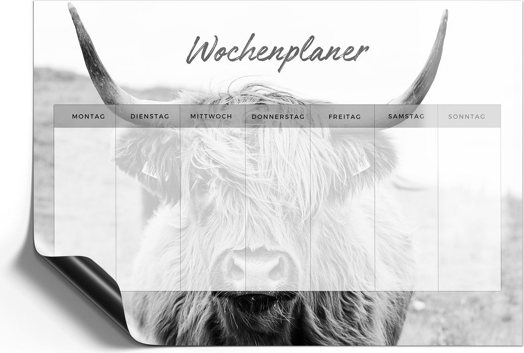 DEQORI Magnetmatte Universal 59x42 cm (A2) 'Planer 2 Rind (DE)' Magnetfolie Kalender Planer
