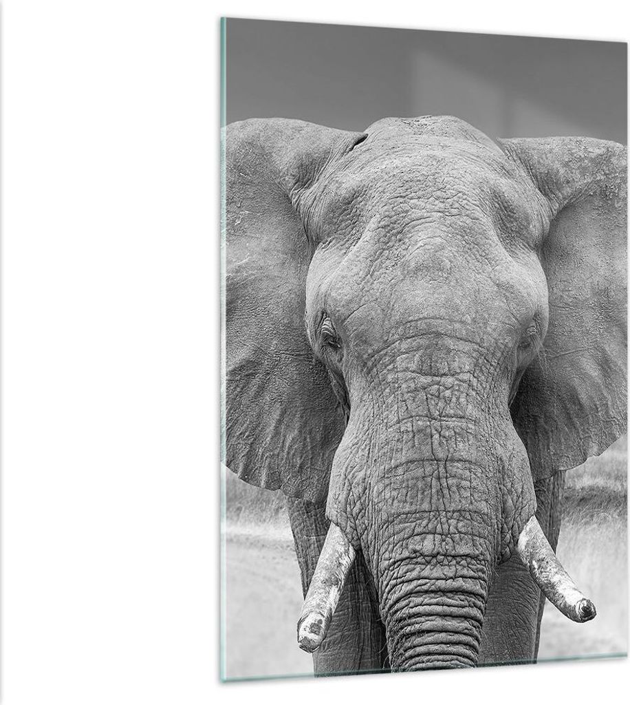 Bilder auf glas - Einteilig - Elefant Afrika Tier - 80x120cm - Glasbilder - Wandbilder - Bilder - zum Aufhängen bereit - Wanddekoration aus Glas -...