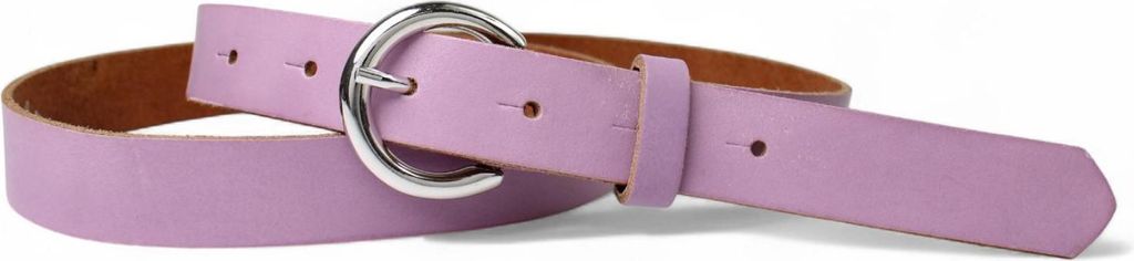 FRONHOFER Damen Ledergürtel 2,5 cm mit silberner runder Gürtelschnalle, echt Leder