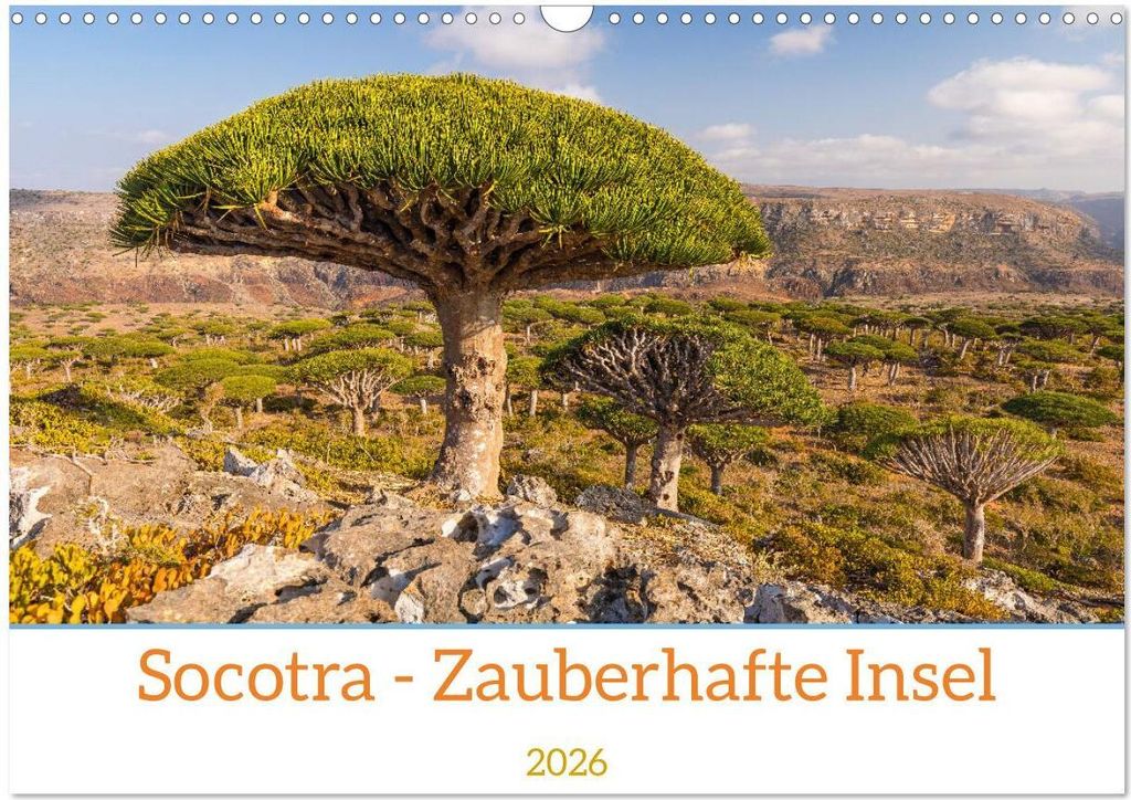 Socotra - Zauberhafte Insel (Wandkalender 2026 DIN A3 quer), CALVENDO Monatskalender