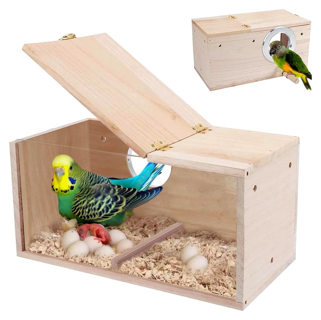 Vogelhaus aus Naturholz für kleine Vögel - Transparente Zuchtbox mit Standfuß für Lovebirds, Finken und mehr, 29,5 x 15 x 15 cm