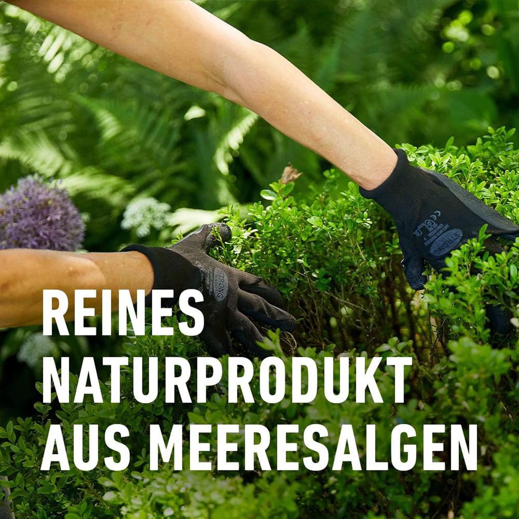 welcher dünger für tomatenpflanzen Tomaten- & Gemüse Dünger – Organisch mit Effektiven Mikroorganismen (EM) main image 0