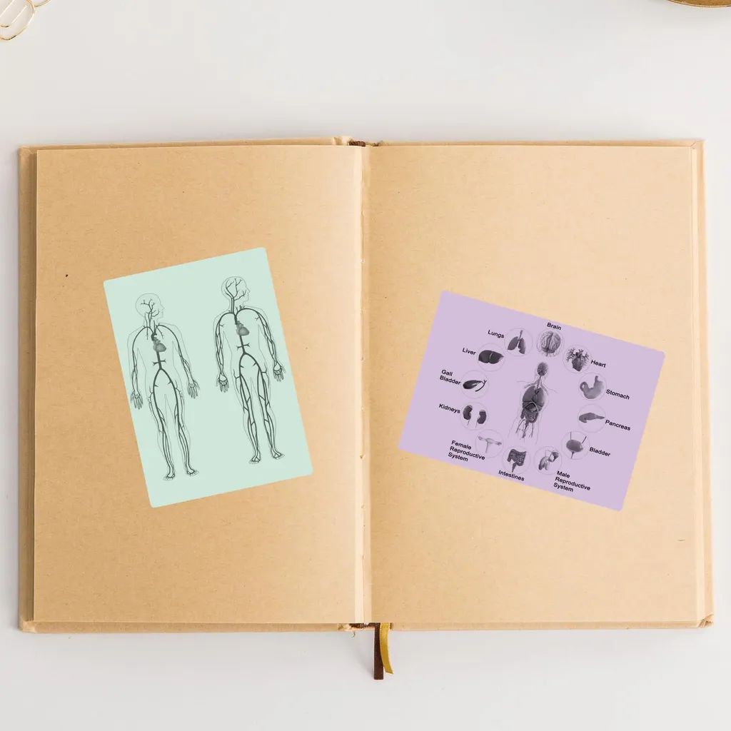 Papier Thermique Autocollant Phomemo pour Journal/Notes - 50mmx3,5m 3 Pcs - 8