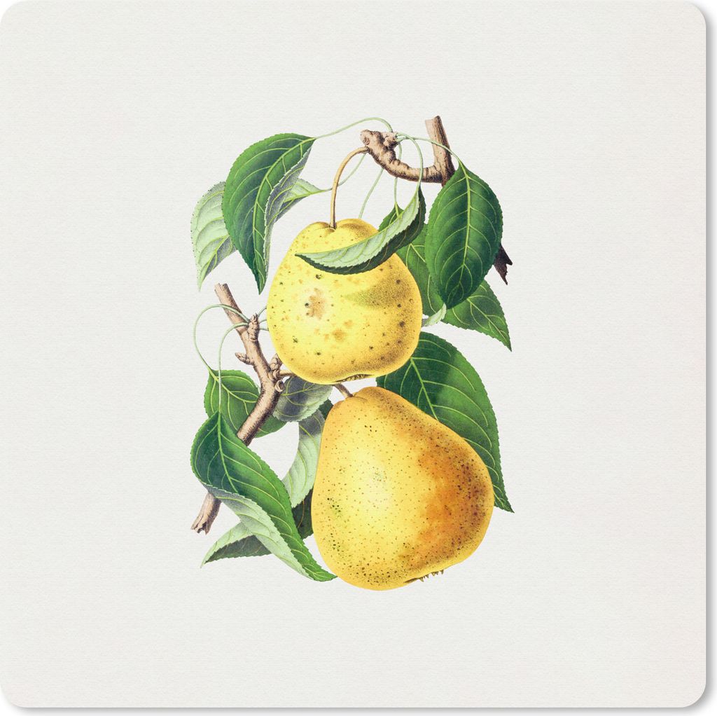 MuchoWow Mauspad Mousepad Birnen - Blätter - Lebensmittel 20x20 cm - Mousepads - Maus Mat - Pad - Mausunterlage - Desk Mat - Bureauartikeln