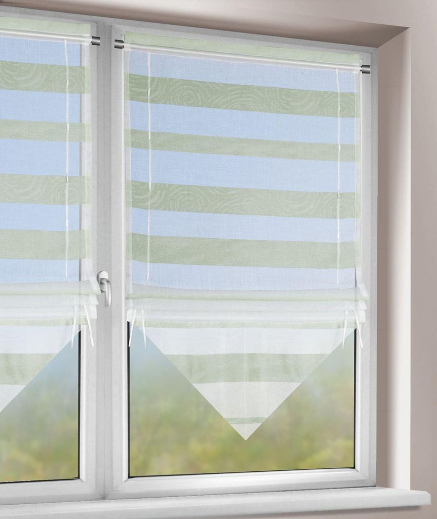 Bändchenrollo „Darian" - Raffgardine von Albani: 120x60 cm / Grün Größe (HxB): 120x60 cm Farbe: Grün