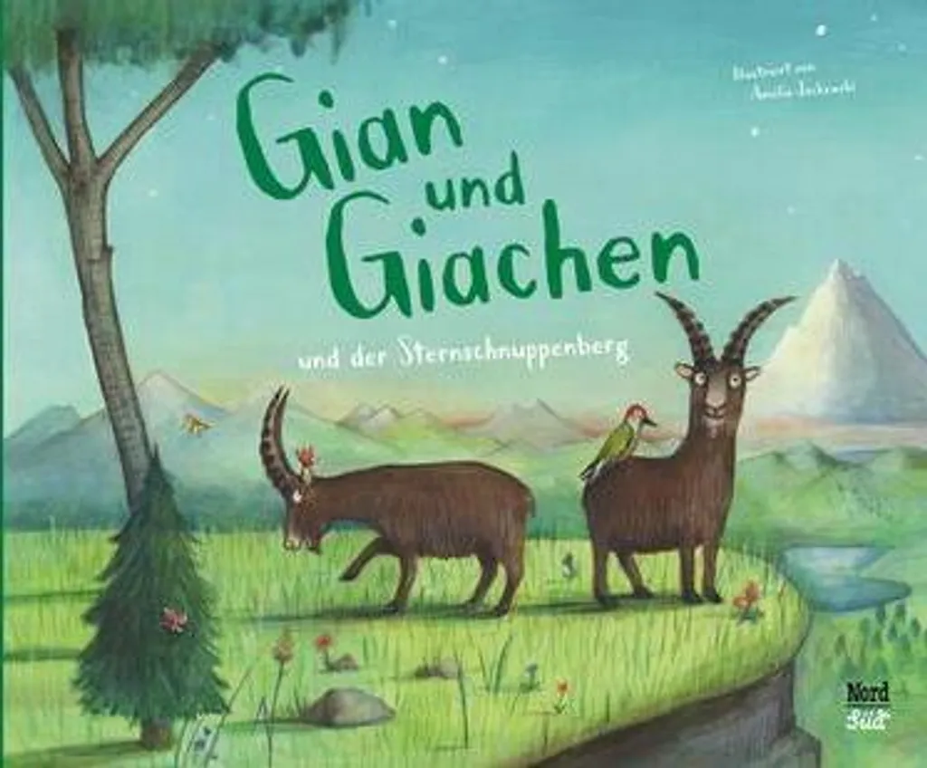 Gian und Giachen und der Sternschnuppenberg - 32 Pages Illustrées