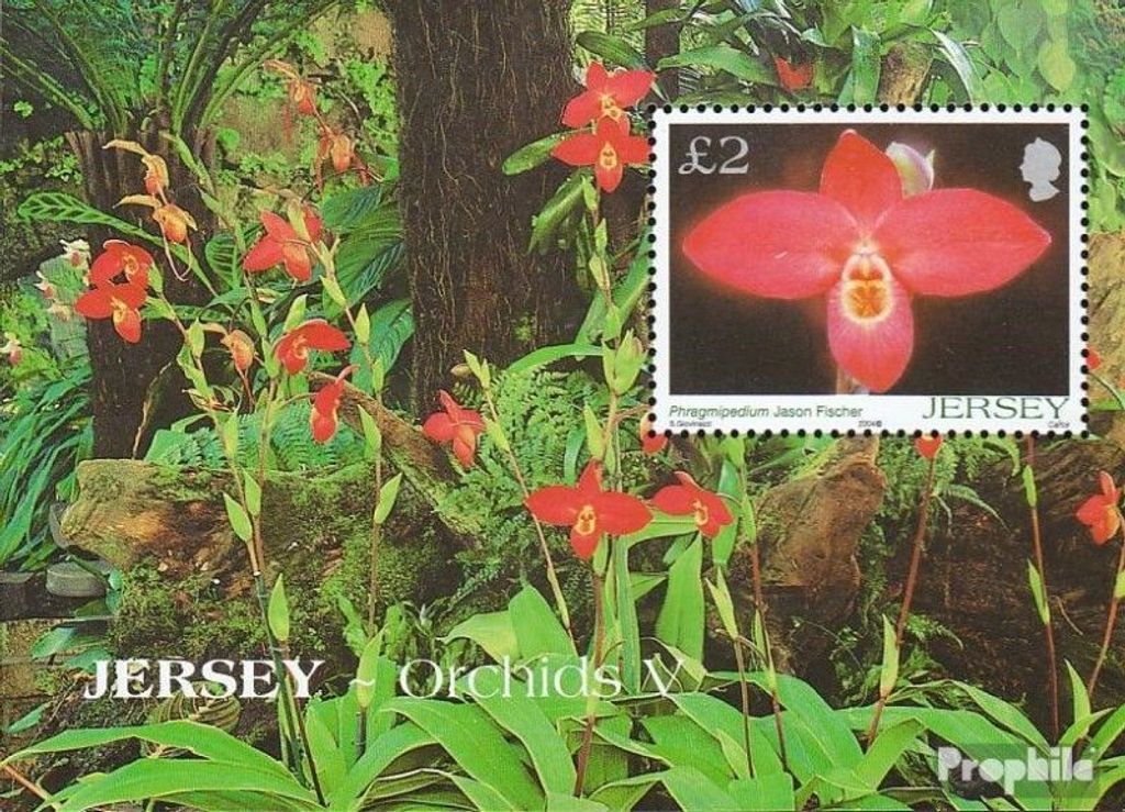 Briefmarken GB - Jersey 2004 Mi Block44 (kompl.Ausg.) postfrisch Orchideen