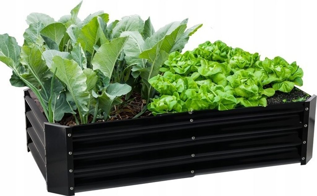 HOCHBEET 120x60x30cm Rechteck Anthrazit Pflanzenbeet Gartenbeet Pflanzkübel Blumenkasten Gemüsebeet Frühbeet Kräuterbeet Beeteinfassung Umrandu...