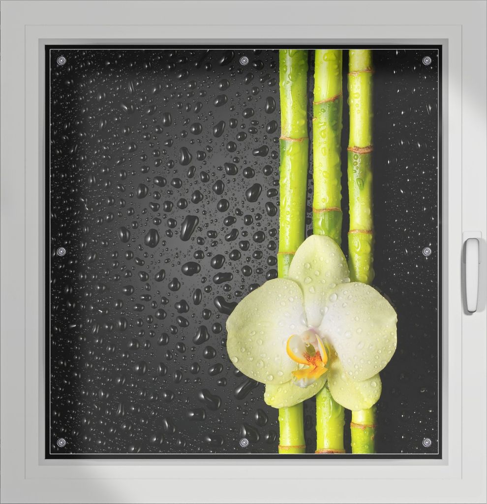 Wallario Lichtschutzbild, Dekorativer Sichtschutz Sonnenschutz 96 x 100 cm mit Motiv: Grüne Orchidee mit Bambus auf schwarz - Regentropfen - Verdu...