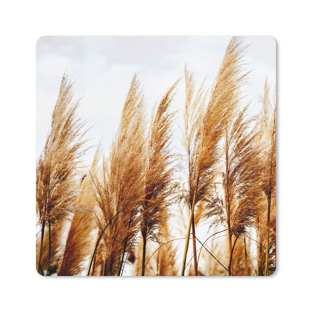 MuchoWow Mauspad Mousepad Pampasgras - Sonne - Gras 30x30 cm - Mousepads - Maus Mat - Pad - Mausunterlage - Gaming