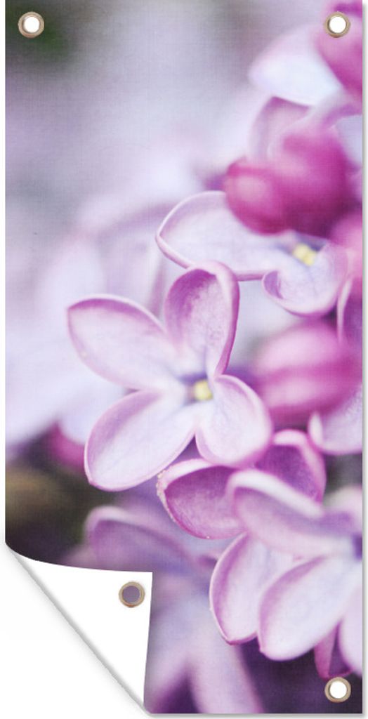 MuchoWow 40x80 cm Outdoor-Poster Gartendeko Sichtschutz Garten Poster für den Garten Blühender Wildflieder