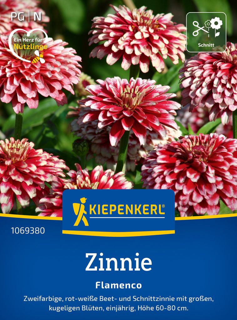 Kiepenkerl Zinniensamen Flamenco Zinnia elegans 50 Pflanzen