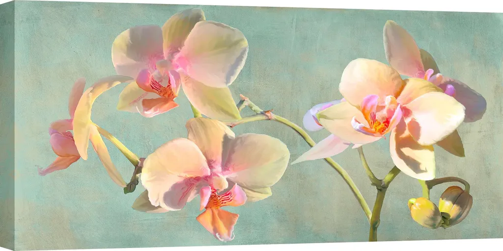 Tableau sur toile Jewel Orchids par Luca Villa - Grand Format 120x60 cm