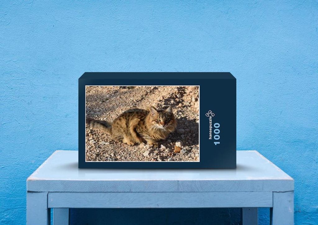 hansepuzzle 28997 - Katze Puzzle, 1000 Teile, Tierwelt, 60,0 x 46,0cm mit hochwertiger Aufbewahrung, Kartonbox und wiederverschließbarem Beutel