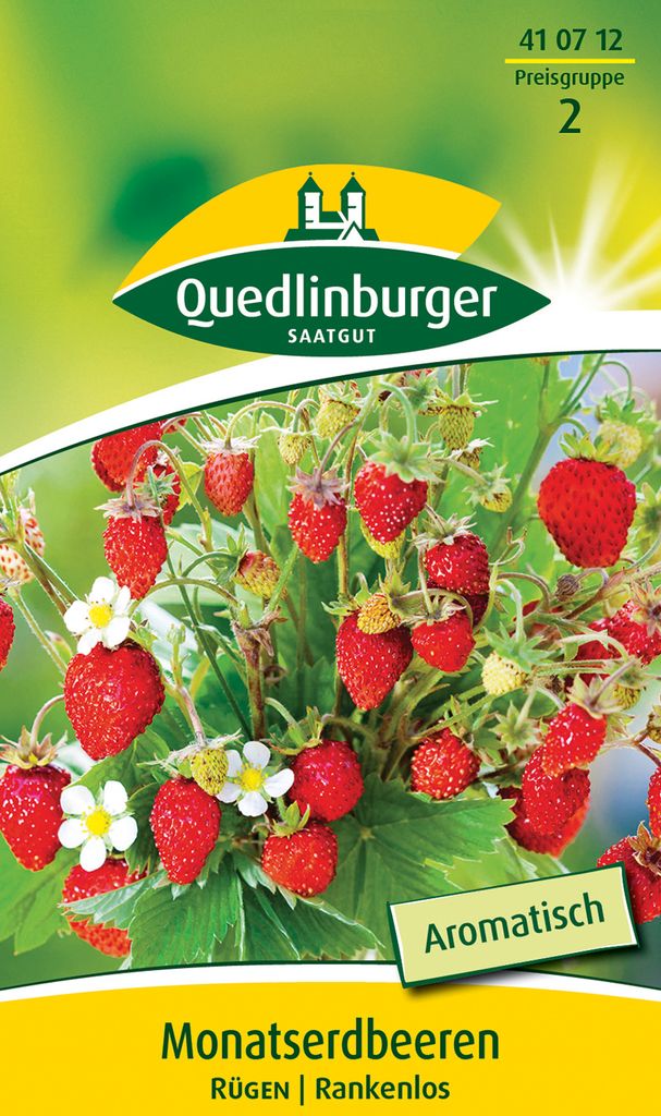 Monatserdbeere 'Rügen' Quedlinburger Gemüsesamen Produktbild 