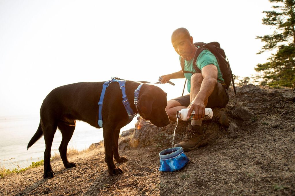 Ruffwear Quencher Coastal Mountains M Produktbild 