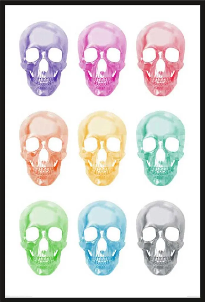 Poster Skulls Encadré Vitre Acrylique Incassable pour Décoration Durable