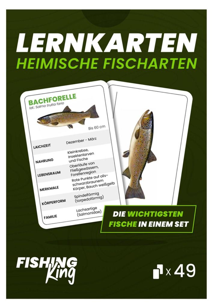 49 Lernkarten für die Fischerprüfung – häufigsten Produktbild 