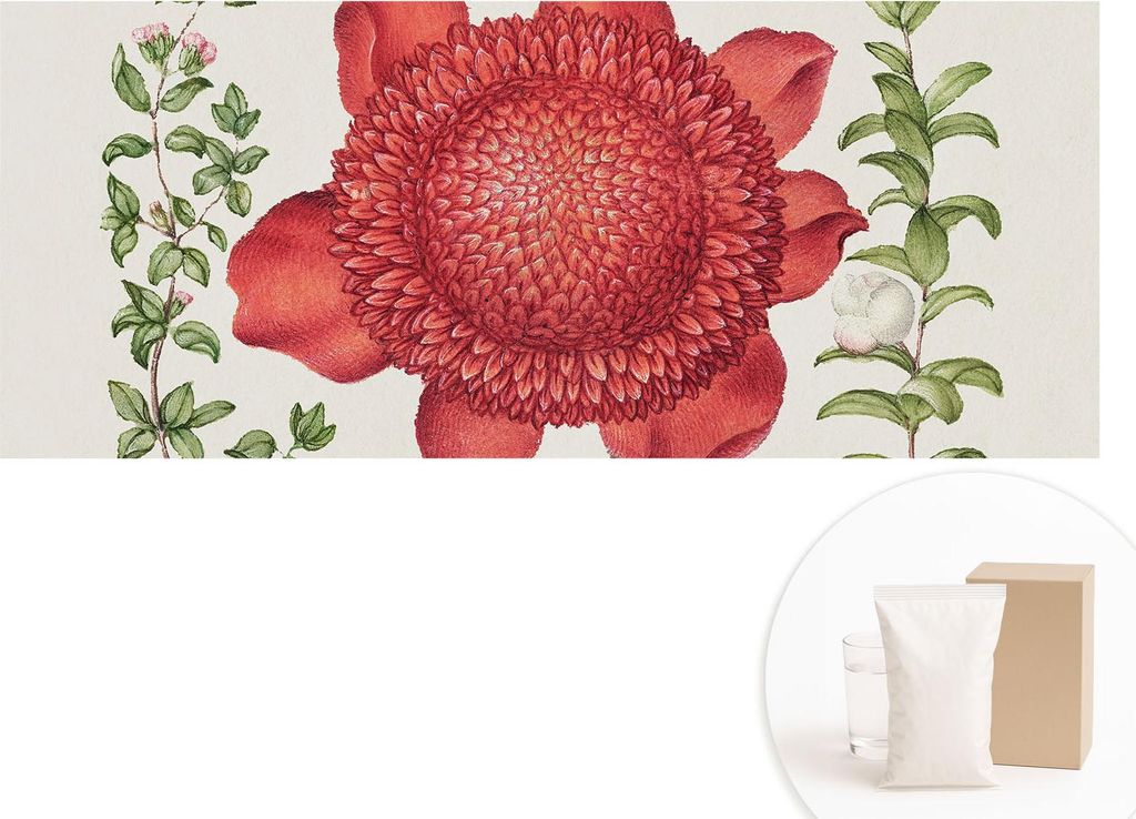 Fototapete - Wandbilder für Wohnzimmer - 208x146 cm - Dekorative Wandfolie - Modernes Design für Wanddekoration - Tapeten für Innenräume - Flor...