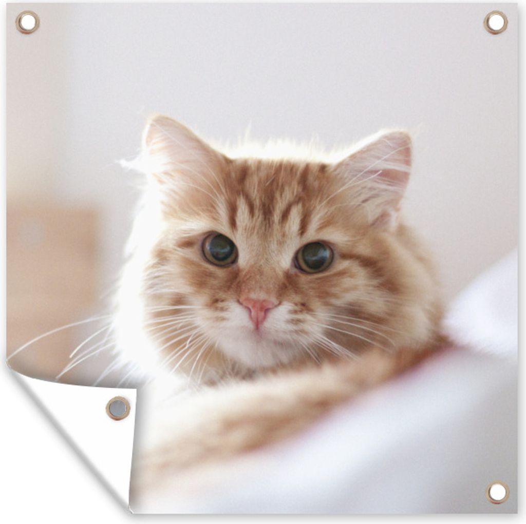 MuchoWow 50x50 cm Outdoor-Poster Gartendeko Sichtschutz Garten Poster für den Garten Katze - Rot - Bett - Mädchen - Kinder - Jungen