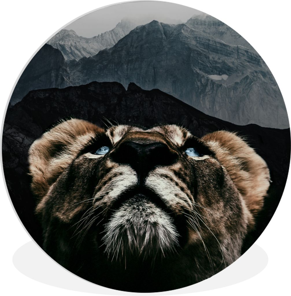 MuchoWow - Wand-Kreis - Wohnzimmer - Bild - Runde - Wanddeko - Dibond - Kunstdrucke