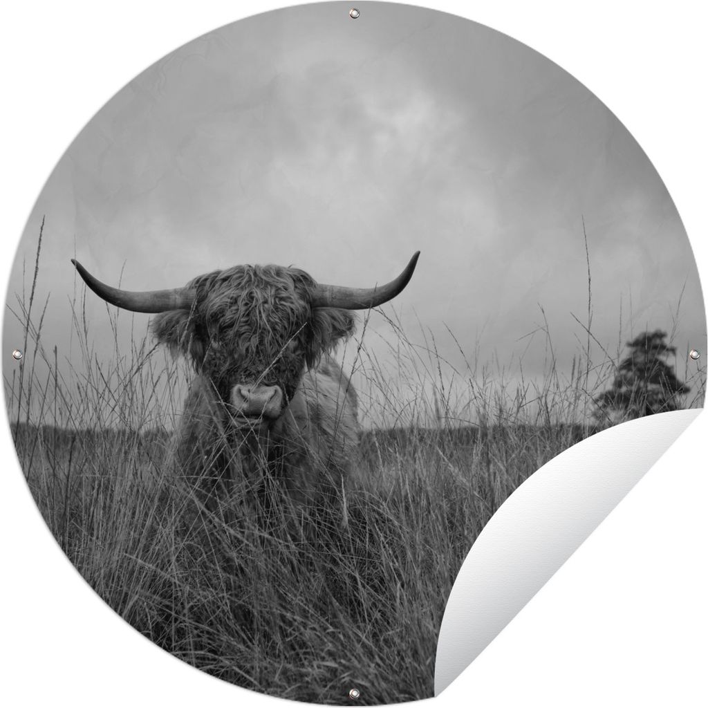 MuchoWow Gartenposter Outdoor-Poster Rund Schottischer Highlander im hohen Gras - schwarz und weiß Ø 150 cm Gartendeko Rundes Poster draußen