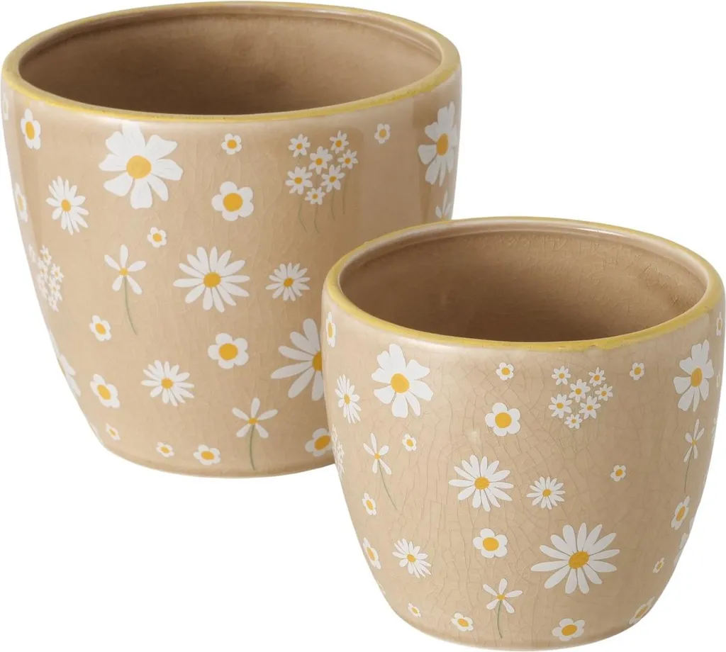 Jardinières pour Décoration de Fenêtre Style Rustique avec Fleurs de Pensées