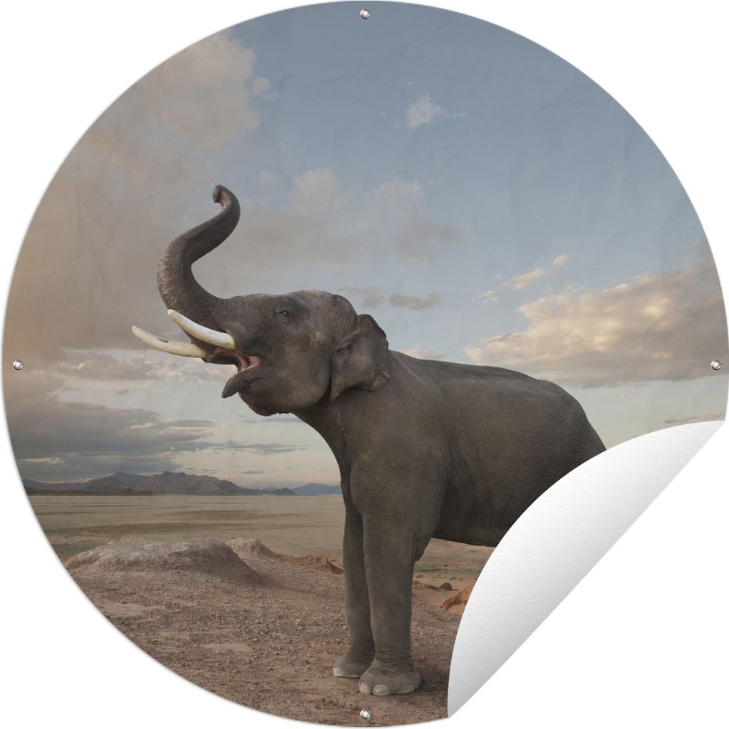 MuchoWow Gartenposter Outdoor-Poster Rund Elefant - Hügel - Wolke Ø 120 cm Gartendeko Rundes Poster draußen