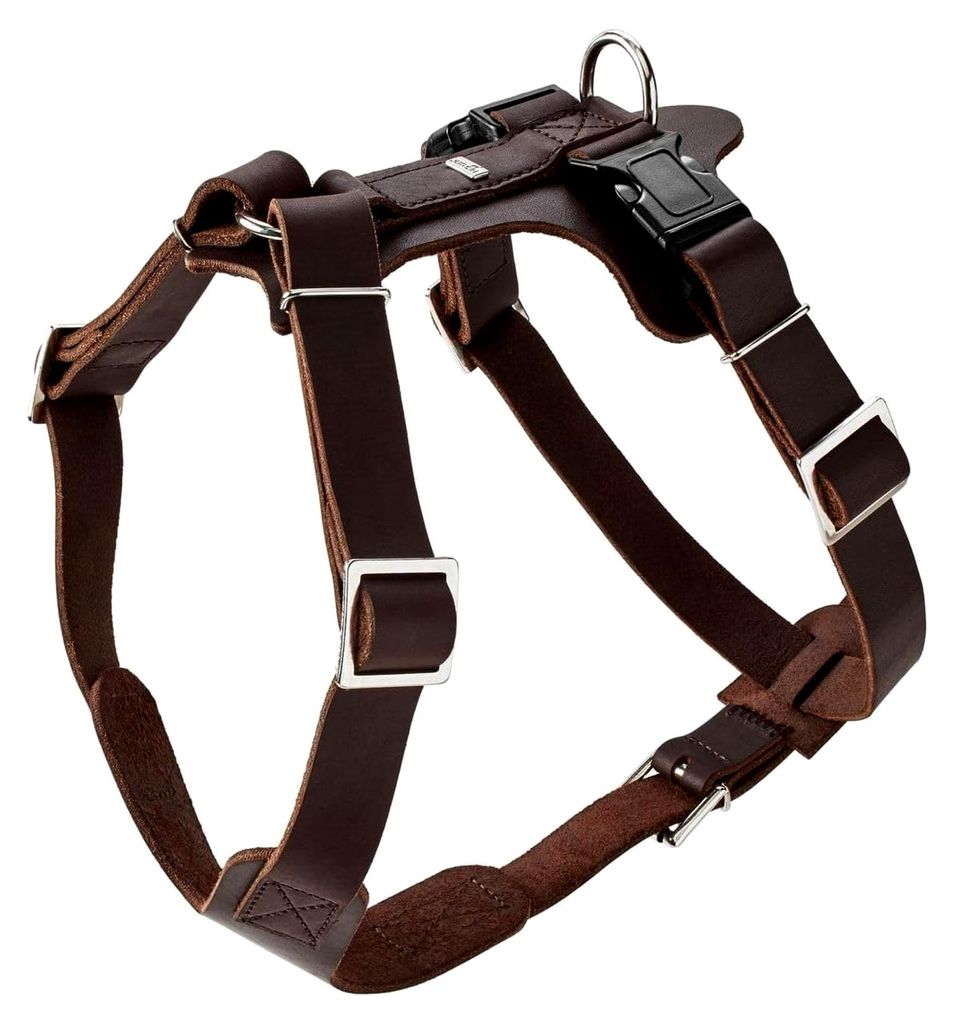 Hundegeschirr aus Leder, M-L/1, dunkelbraun
