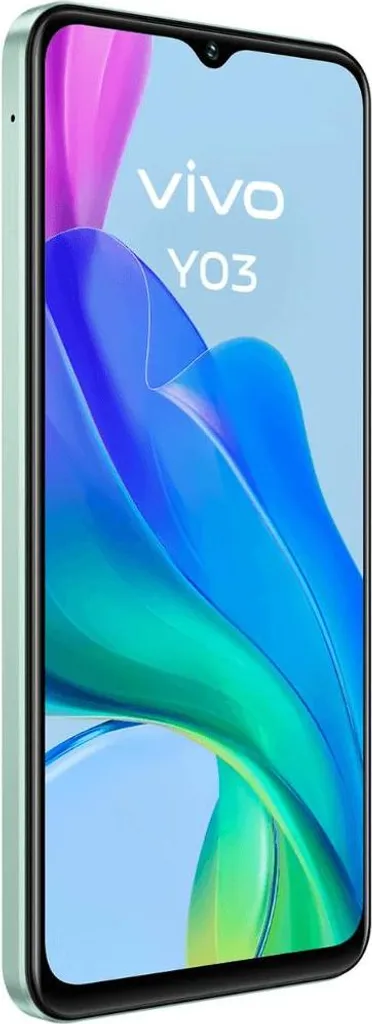 Smartphone Vivo 5668641 - Mobile performant avec écran haute résolution